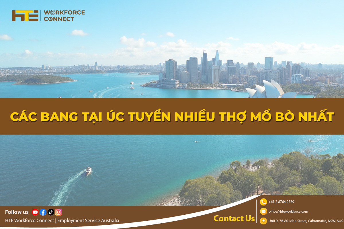 Cac bang tai Uc tuyen nhieu tho mo bo nhat